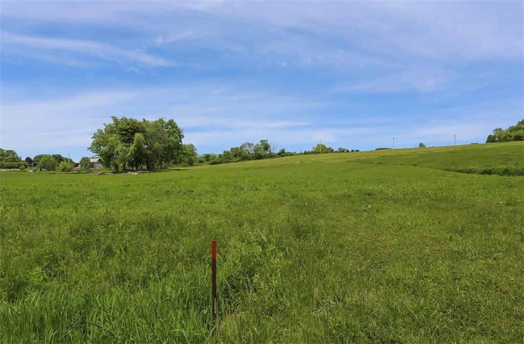 0 Shaw Road Volant, PA 16156 - Photo 3 of 7 a view of a big yard with a large tree and a yard
