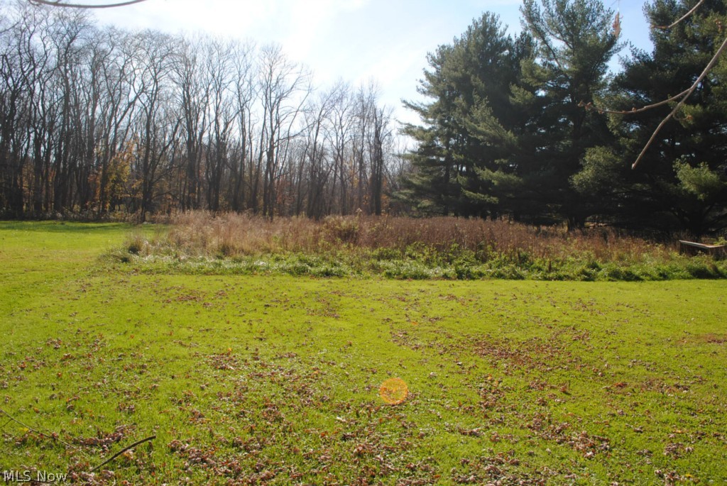 11004 Stone Road Cleveland, OH 44125 - Photo 17 of 22