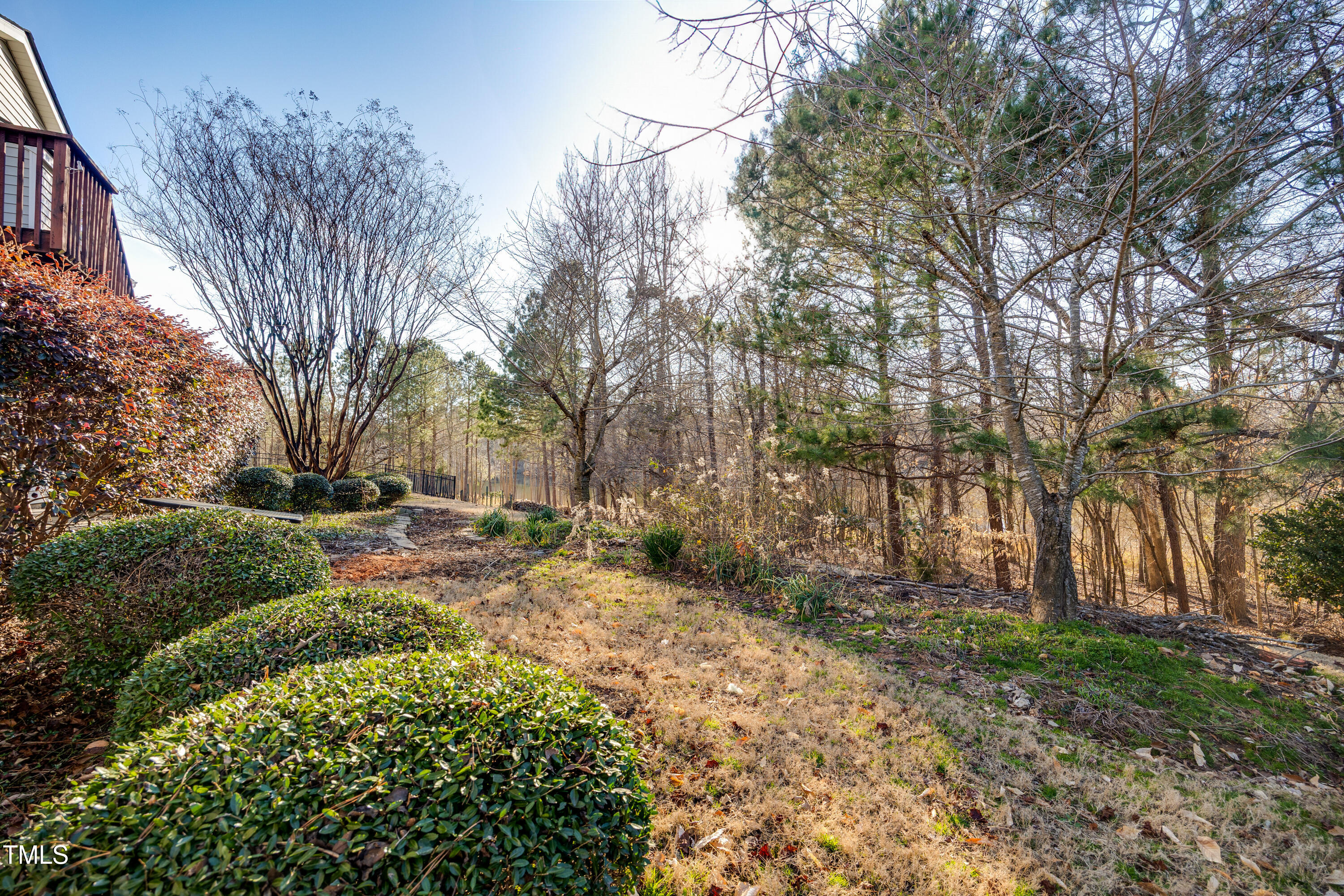 7772 Silver View Lane Raleigh, NC 27613 - Photo 2 of 55 a view of a yard with plants and trees