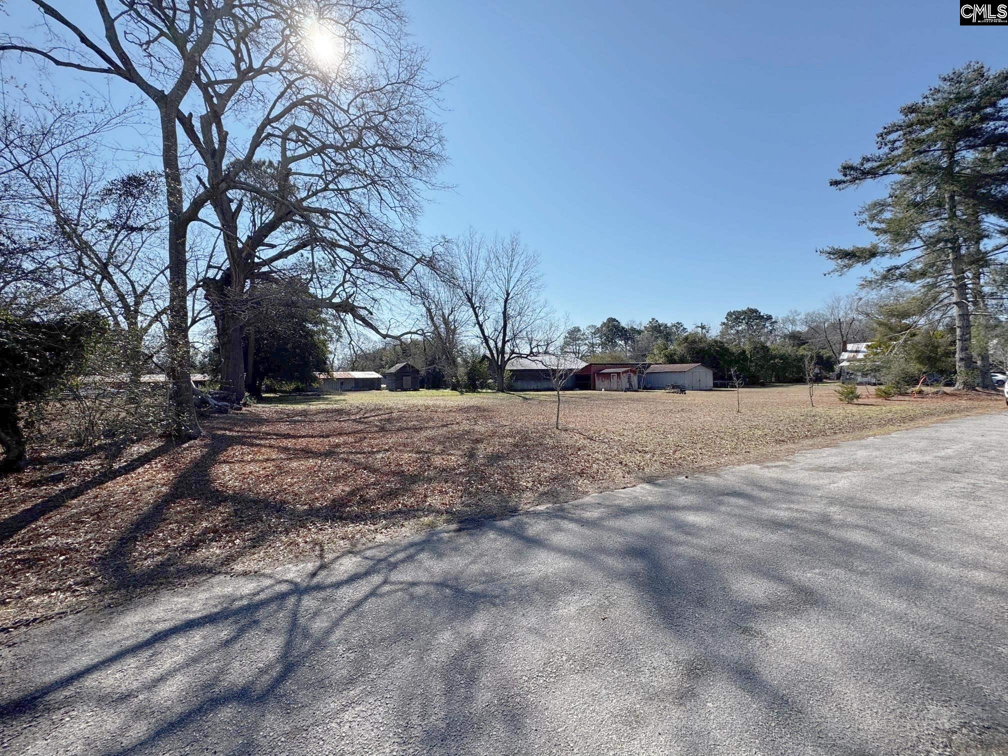 Tbd Tabernacle Street Leesville, SC 29070 - Photo 4 of 9