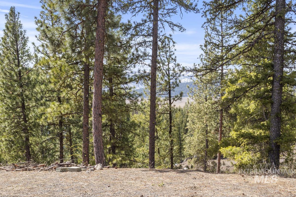 17 Tito Trail Cascade, ID 83611 - Photo 7 of 16