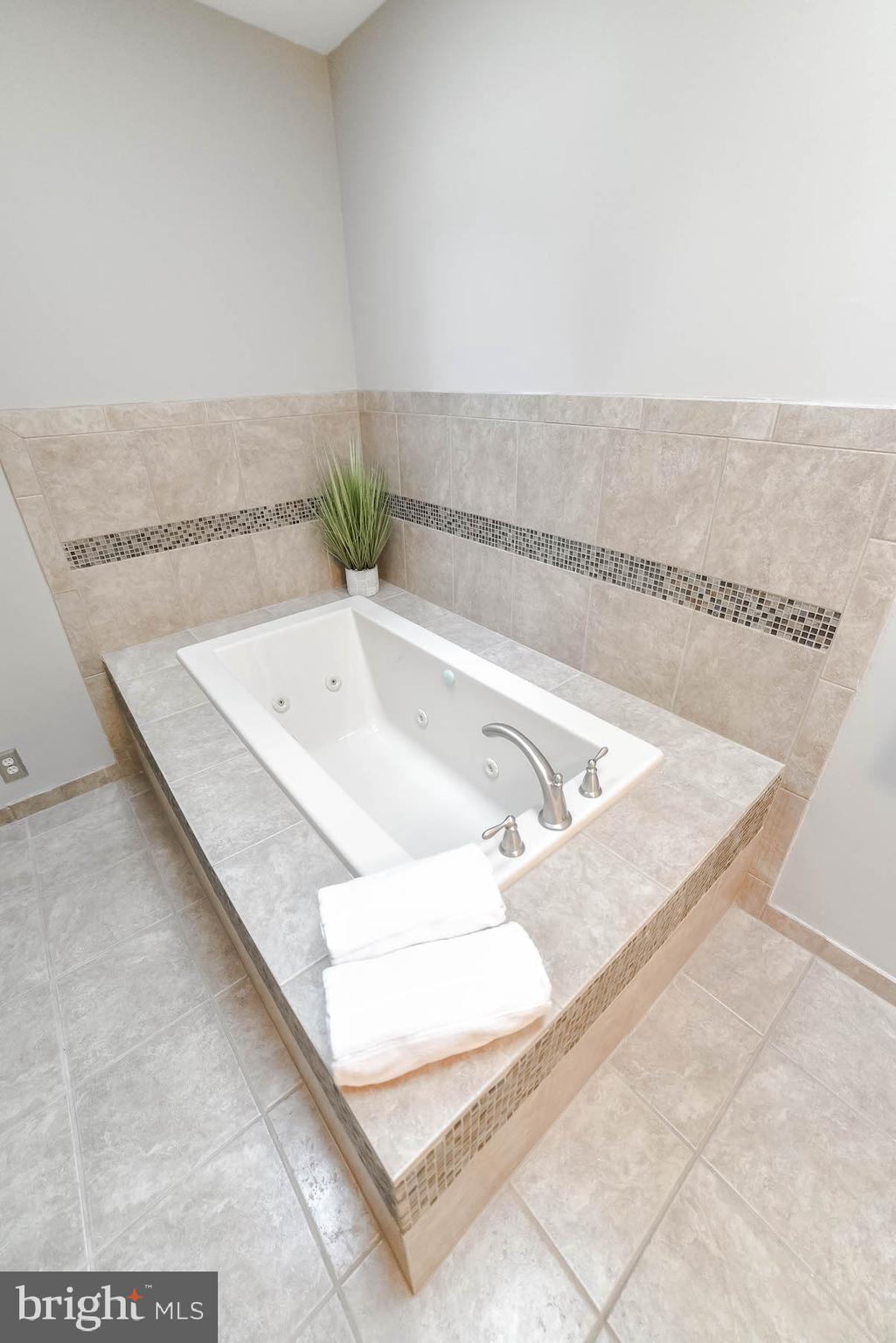 8508 Ridgeline Terrace Waldorf, MD 20603 - Photo 28 of 42 Soak Tub