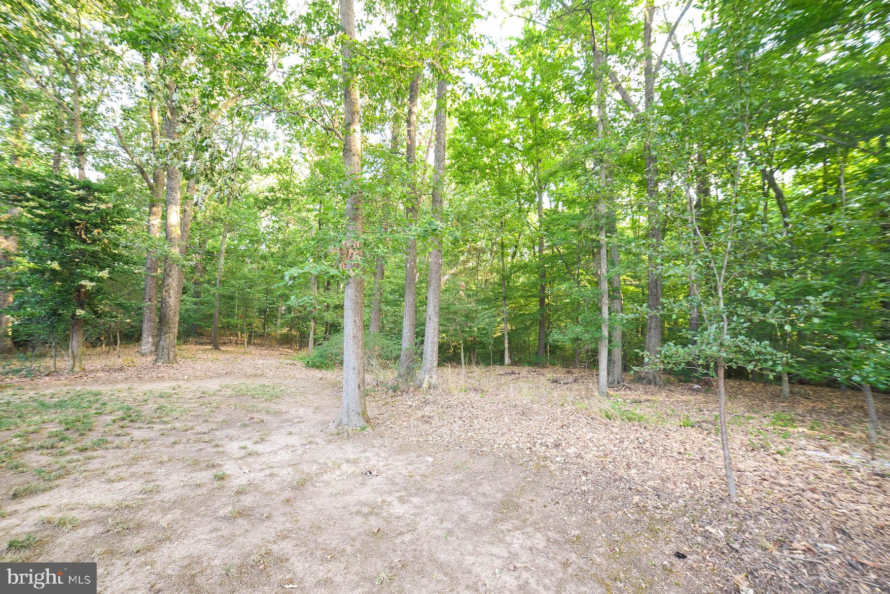 8508 Ridgeline Terrace Waldorf, MD 20603 - Photo 40 of 42 Backyard