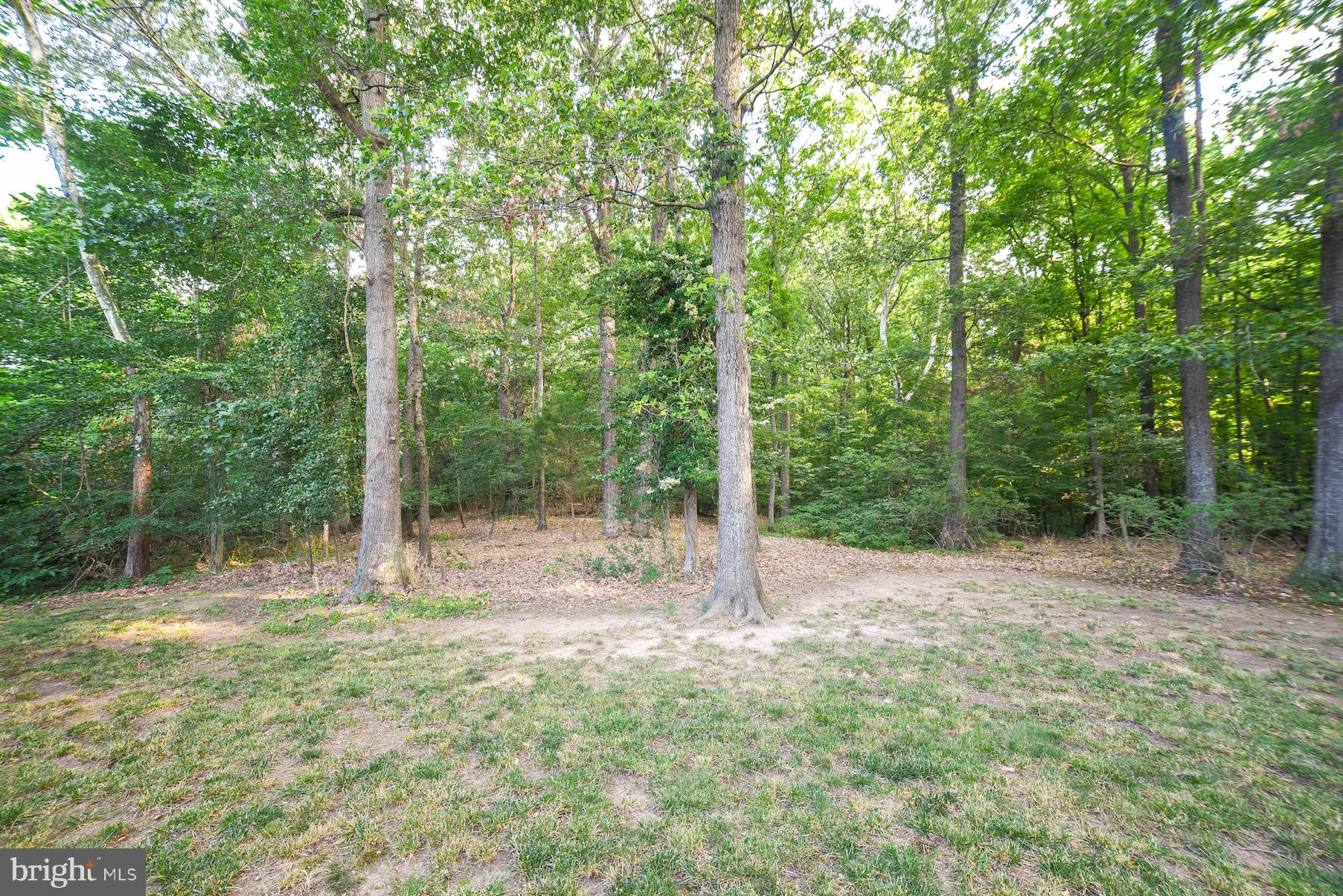 8508 Ridgeline Terrace Waldorf, MD 20603 - Photo 41 of 42 Backyard