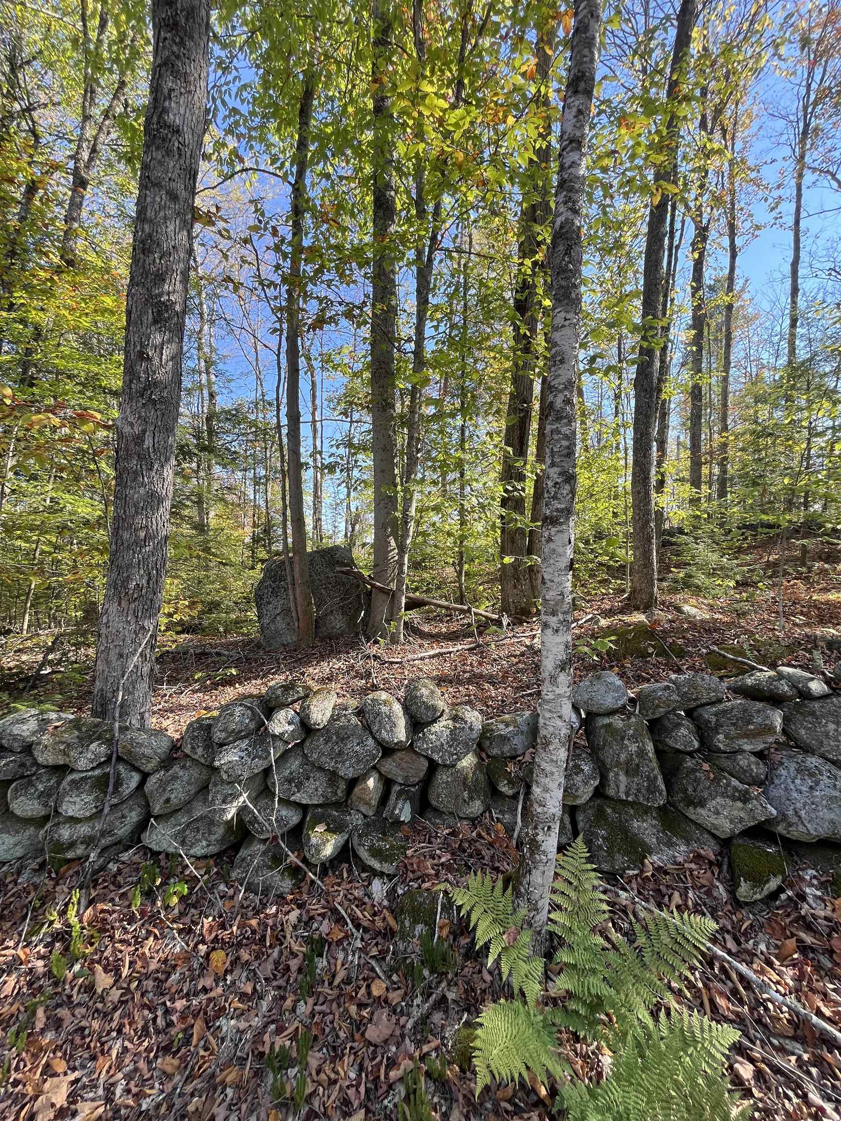 010 Underwood Road South Acworth, NH 03607 - Photo 2 of 10 Gallery Image 2