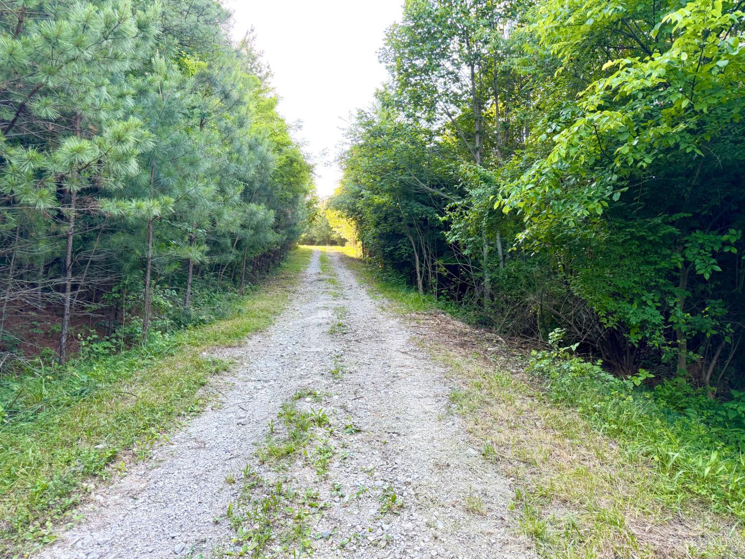 0 North Falls Road Bainbridge, OH 45612 - Photo 55 of 99