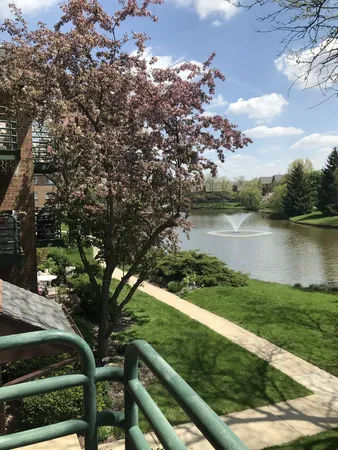 $2,000 | 905 Casey Court, Unit 4003, Schaumburg, IL 60173