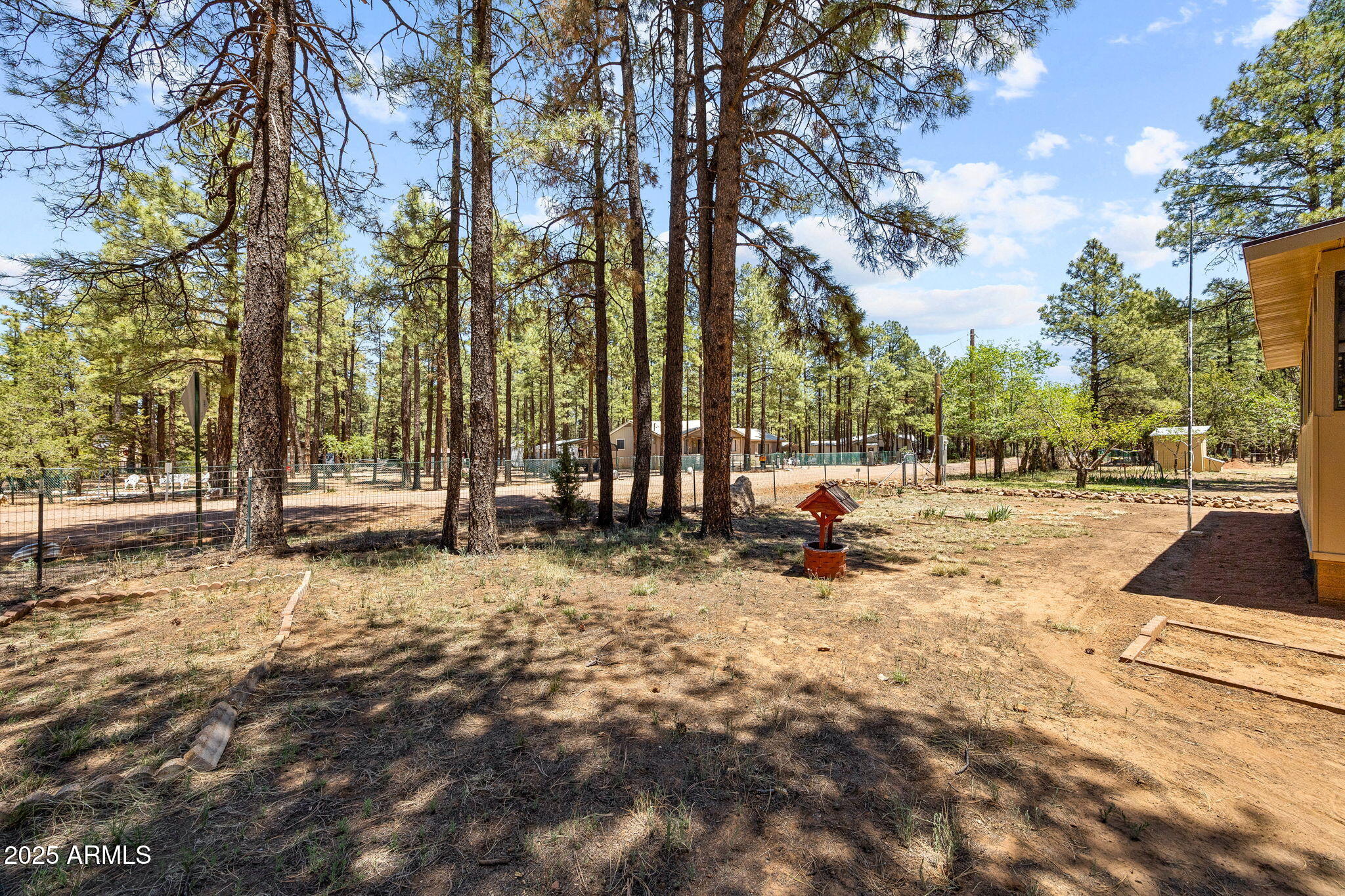 2127 Pony Road Overgaard, AZ 85933 - Photo 27 of 30 a view of park with large trees