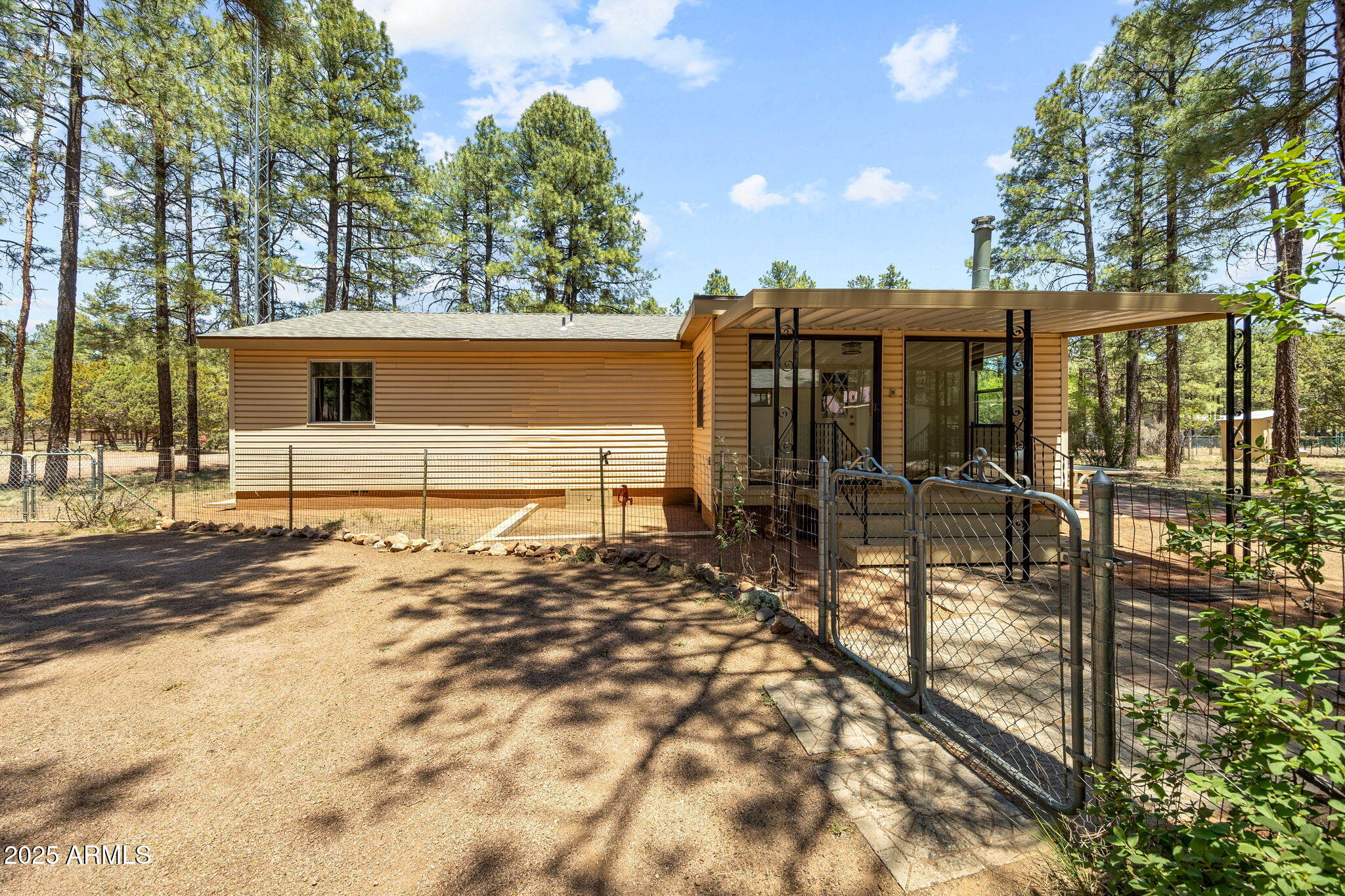 2127 Pony Road Overgaard, AZ 85933 - Photo 3 of 30 a view of a backyard of the house