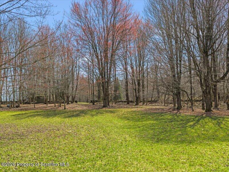 249 Lane Road Kingsley, PA 18826 - Photo 30 of 34 Yard