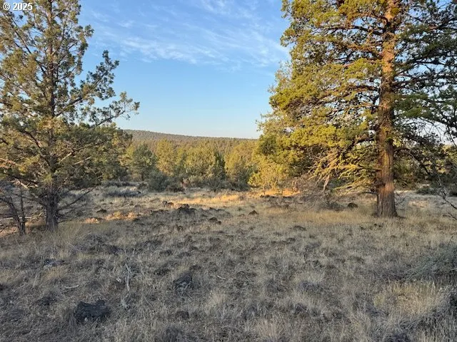 a view of mountain view with large trees