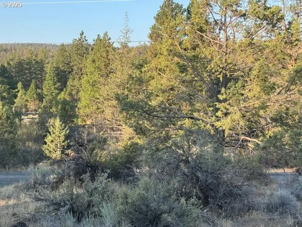 a view of a bunch of trees