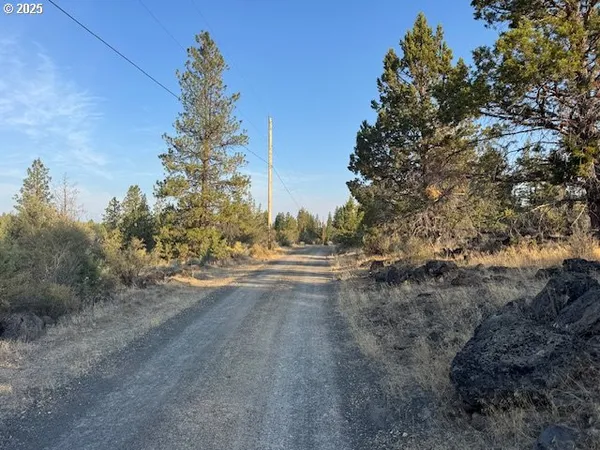 a view of ocean view with large trees