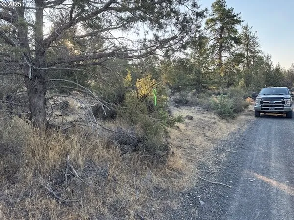 a view of yard with trees in the background