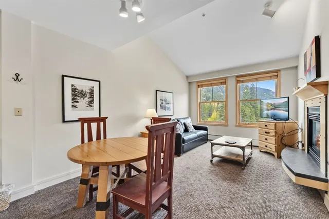 a view of a livingroom with furniture and a potted plant