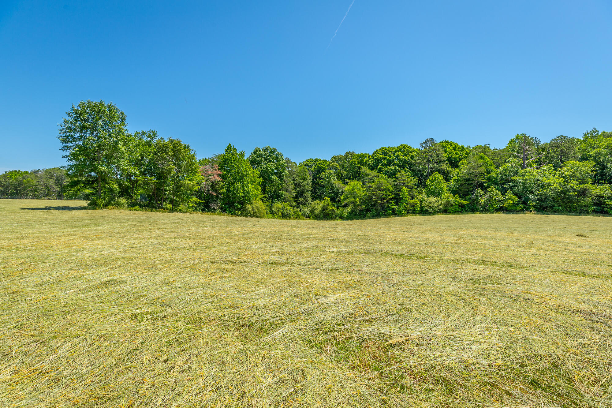 1655 West Cove Road Chickamauga, GA 30707 - Photo 16 of 62 1655 W Cove Road HD-67