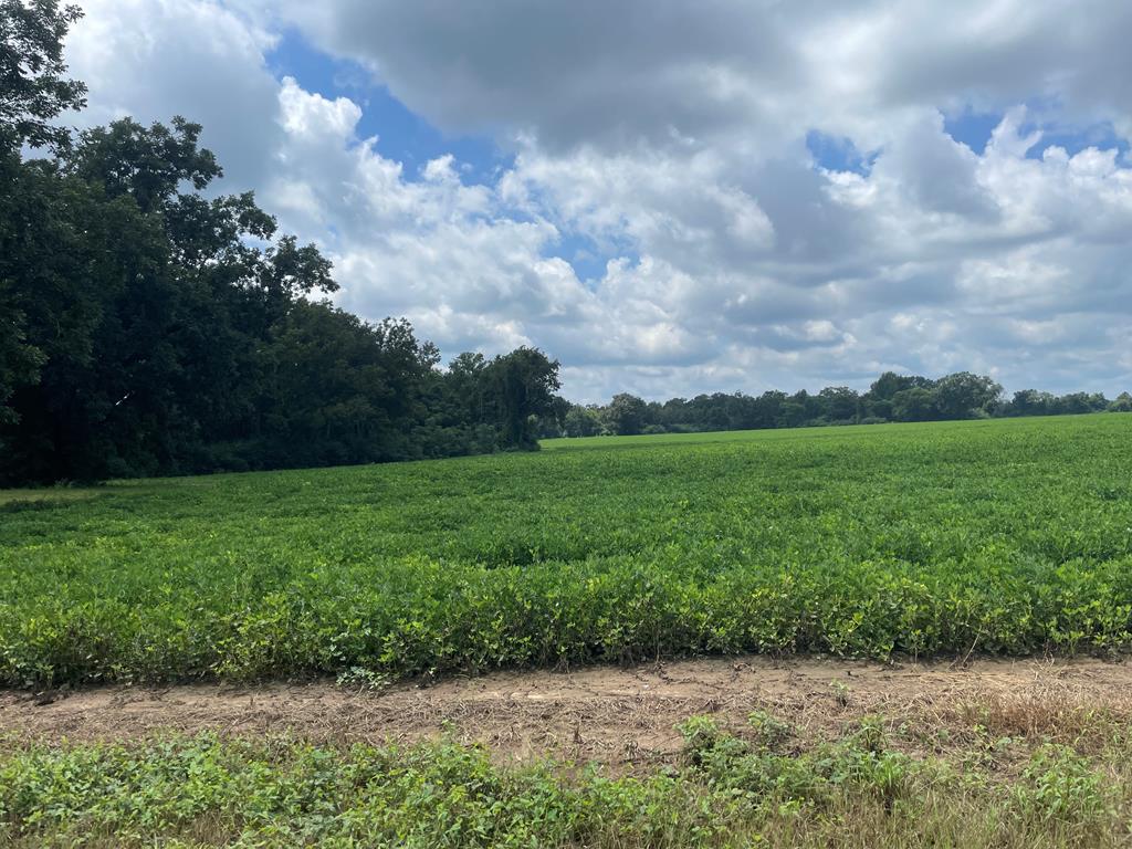 0 Woodham Road Dothan, AL 36303 - Photo 1 of 2