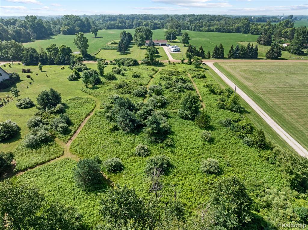 0 East Cole Road Durand, MI 48429 - Photo 7 of 10