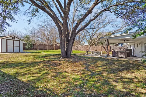 a view of a yard with a tree