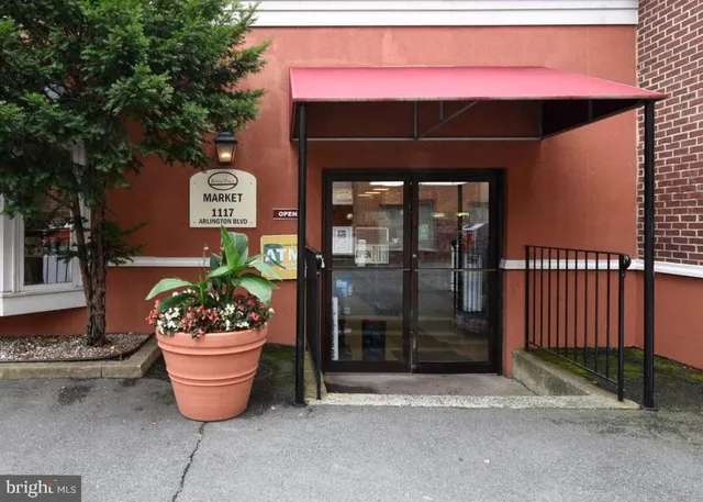 a view of a with a big yard and a large trees