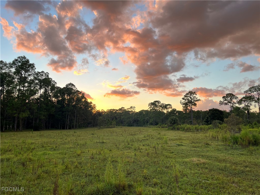 17800 Grand Chenier Road Fort Myers, FL 33913 - Photo 16 of 34 a view of outdoor space and yard