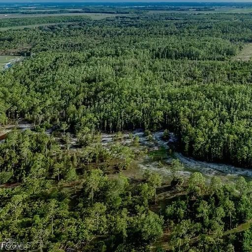 17800 Grand Chenier Road Fort Myers, FL 33913 - Photo 23 of 34 a view of outdoor space and yard