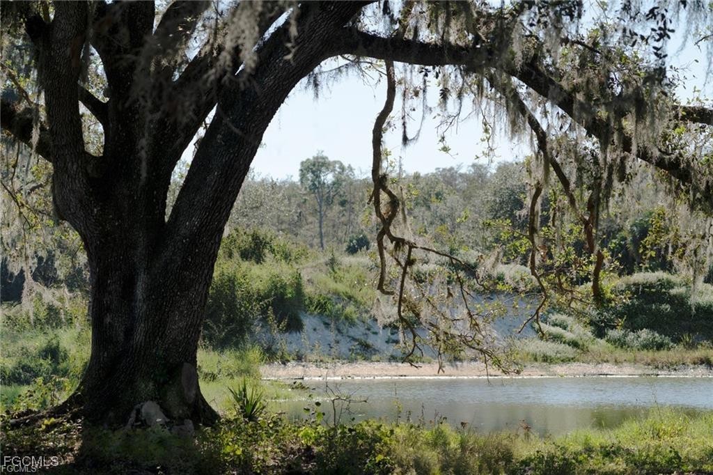 17800 Grand Chenier Road Fort Myers, FL 33913 - Photo 27 of 34 a view of a yard in a yard