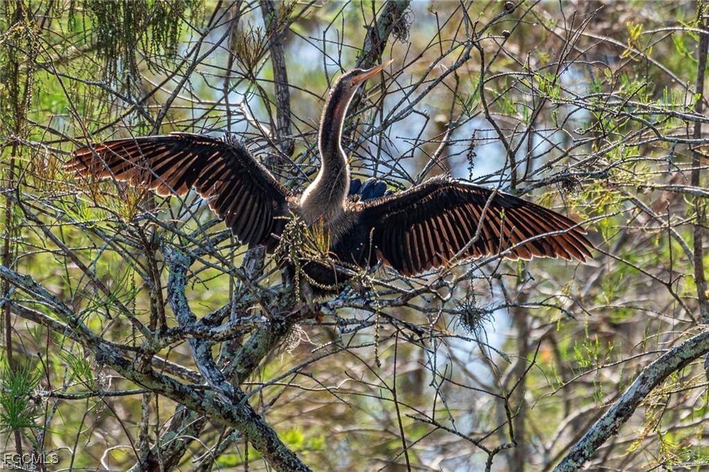 17800 Grand Chenier Road Fort Myers, FL 33913 - Photo 28 of 34 a view of outdoor space with a tree