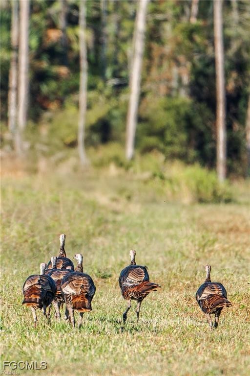 17800 Grand Chenier Road Fort Myers, FL 33913 - Photo 30 of 34 a view of a backyard