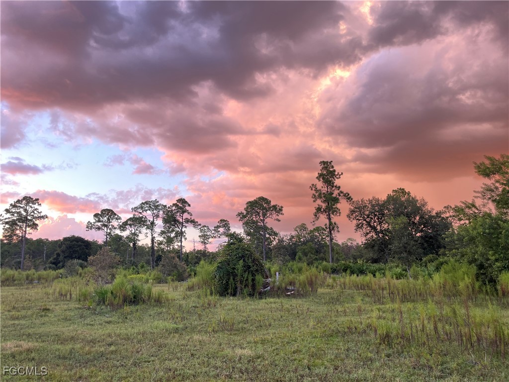 17800 Grand Chenier Road Fort Myers, FL 33913 - Photo 33 of 34 a view of a lake