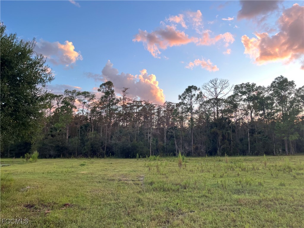 17800 Grand Chenier Road Fort Myers, FL 33913 - Photo 34 of 34 a view of backyard with green space