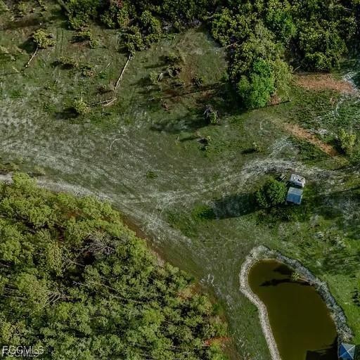 17800 Grand Chenier Road Fort Myers, FL 33913 - Photo 4 of 34 a view of a forest with a street