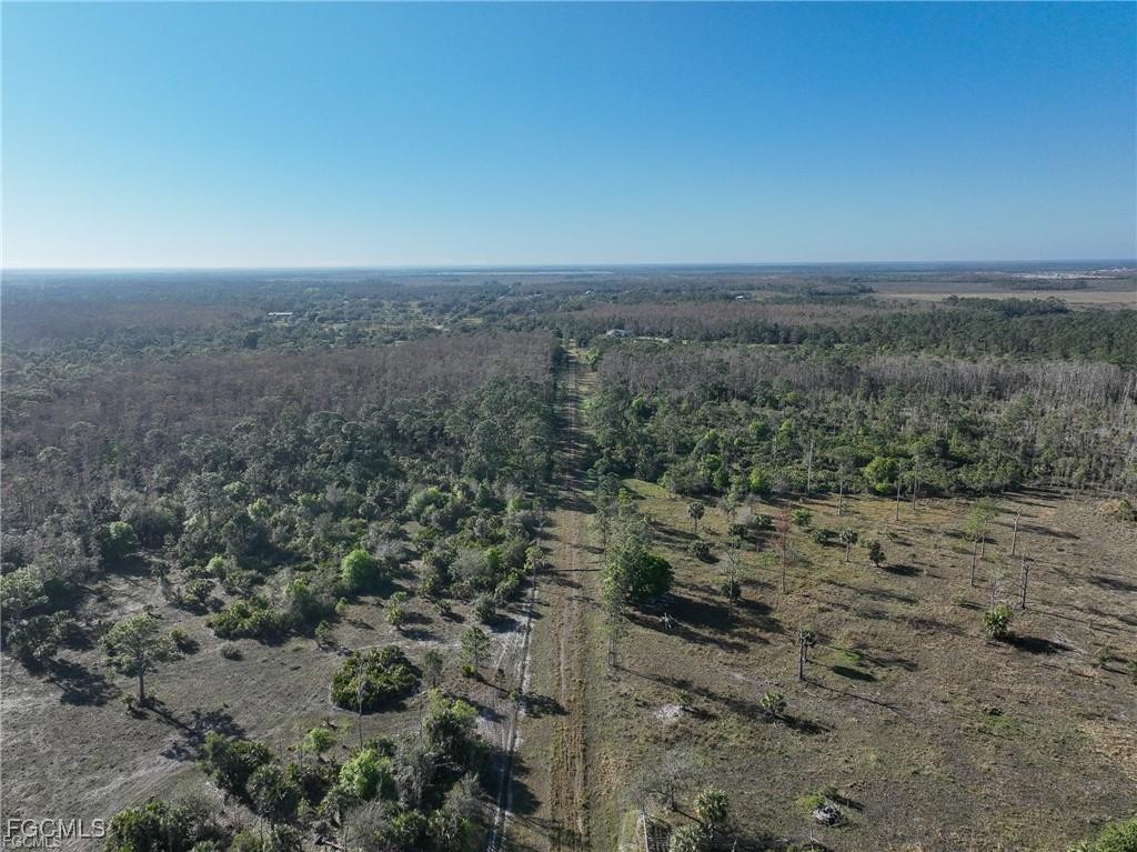 17800 Grand Chenier Road Fort Myers, FL 33913 - Photo 8 of 34 a view of a dry yard with trees