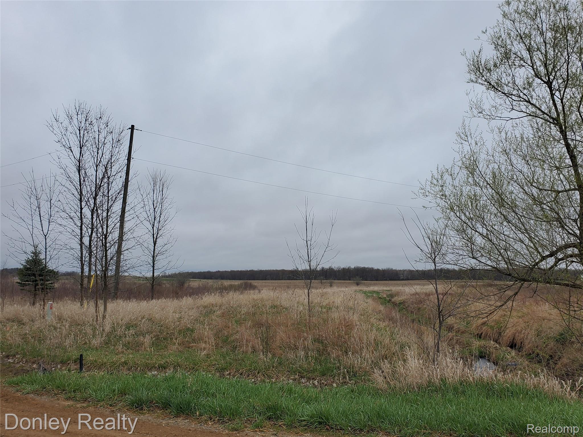 0 Northeast Kelch Road Silverwood, MI 48760 - Photo 5 of 6 20210416_083821.jpg