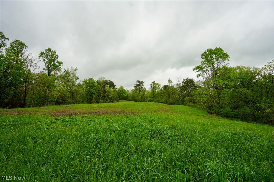 Hill Road Stockport, OH 43787 - Photo 1 of 40
