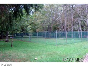 318 Cairo Road Cairo, WV 26337 - Photo 18 of 23 Tennis Court
