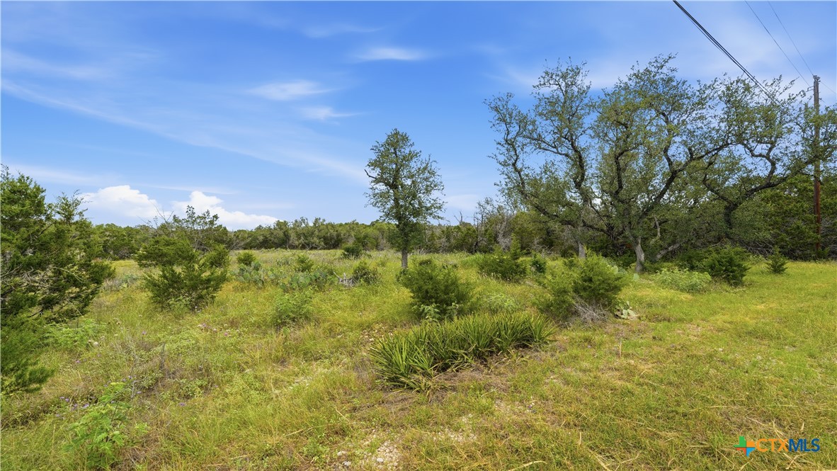 847 Hilltop Ridge New Braunfels, TX 78132 - Photo 24 of 47