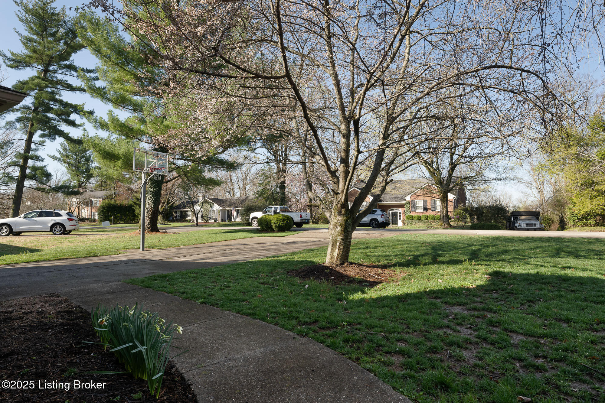 217 Sequoya Road Louisville, KY 40207 - Photo 8 of 34 tranquil street