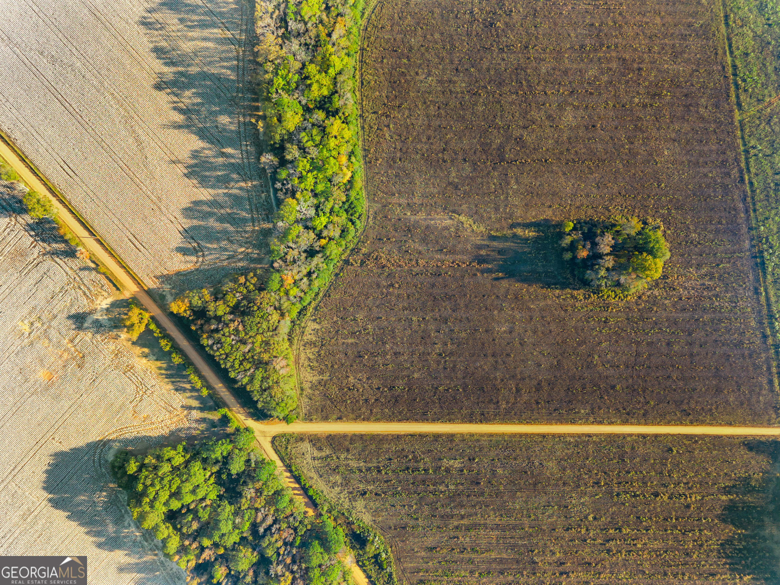 0 Waters Lane, Unit LOT 5 Claxton, GA 30417 - Photo 11 of 14 a view of a garden