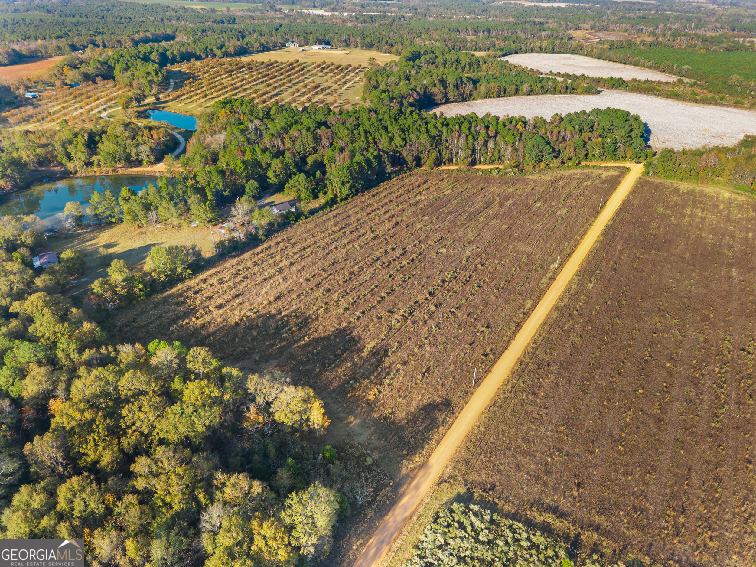 0 Waters Lane, Unit LOT 5 Claxton, GA 30417 - Photo 14 of 14 a view of a balcony with an ocean view
