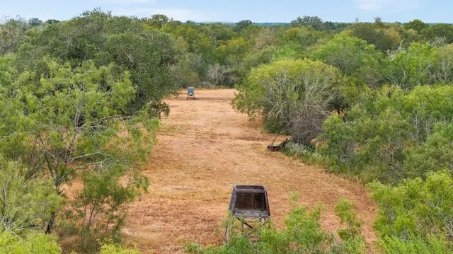 a view of a yard with trees