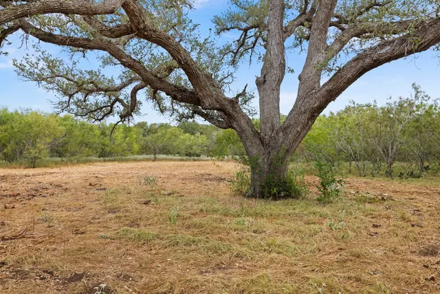a view of outdoor space with trees
