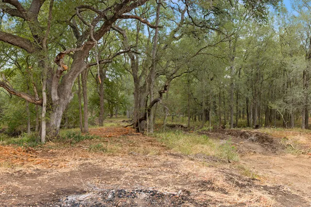 a backyard of a house with lots of trees