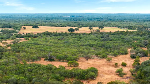 an aerial view of residential houses with outdoor space and trees