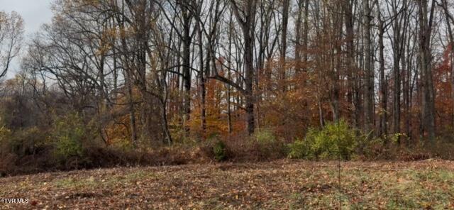 1030 North Paperville Road Bristol, TN 37620 - Photo 11 of 11 IMG_3434