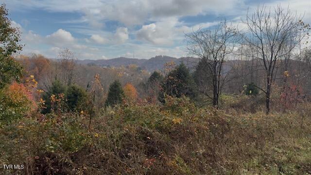 1030 North Paperville Road Bristol, TN 37620 - Photo 2 of 11 IMG_4766