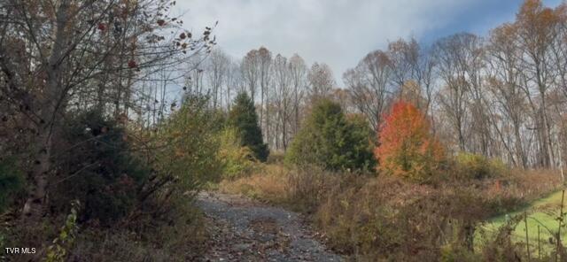 1030 North Paperville Road Bristol, TN 37620 - Photo 4 of 11 IMG_3428