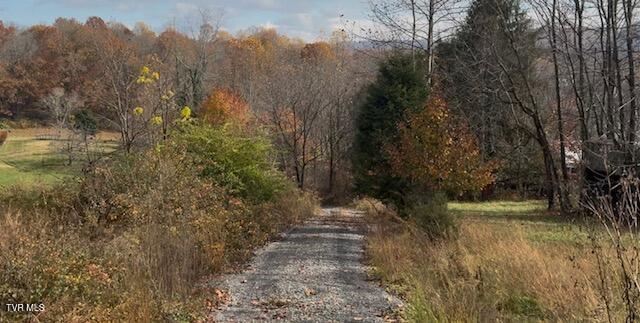 1030 North Paperville Road Bristol, TN 37620 - Photo 5 of 11 IMG_3430 (1)