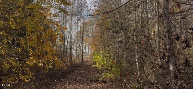 1030 North Paperville Road Bristol, TN 37620 - Photo 6 of 11 IMG_3431