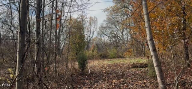 1030 North Paperville Road Bristol, TN 37620 - Photo 7 of 11 IMG_3433